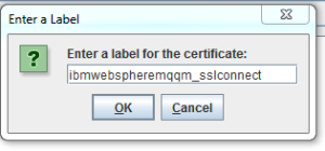 server's self-signed certificate label